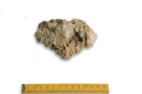 F 00064
<br/>
<br/>
<em></em>